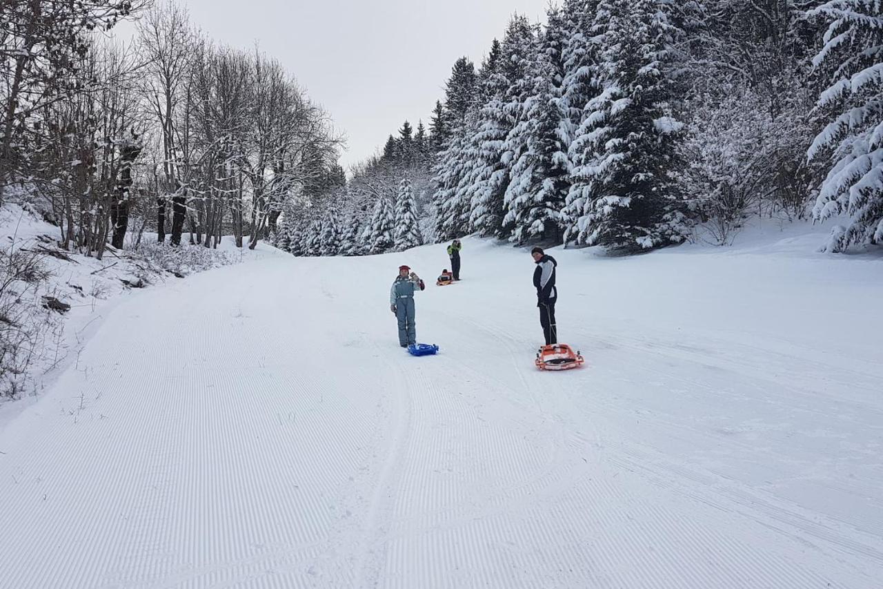STUDIO CHALEUREUX aux pieds des pistes de ski des Glovettes Villard-de-Lans Eksteriør billede